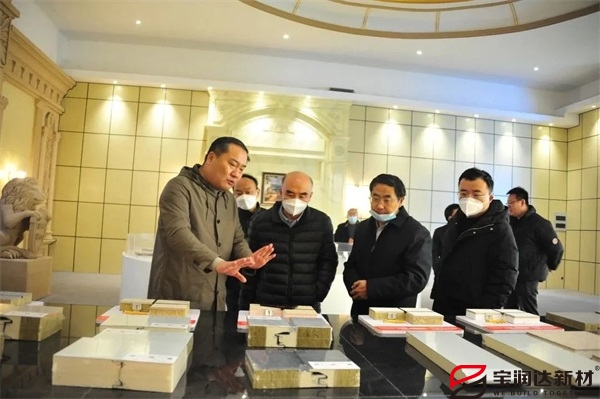 省服務(wù)業(yè)辦和省農(nóng)村公路處領(lǐng)導(dǎo)蒞臨寶潤(rùn)達(dá)調(diào)研